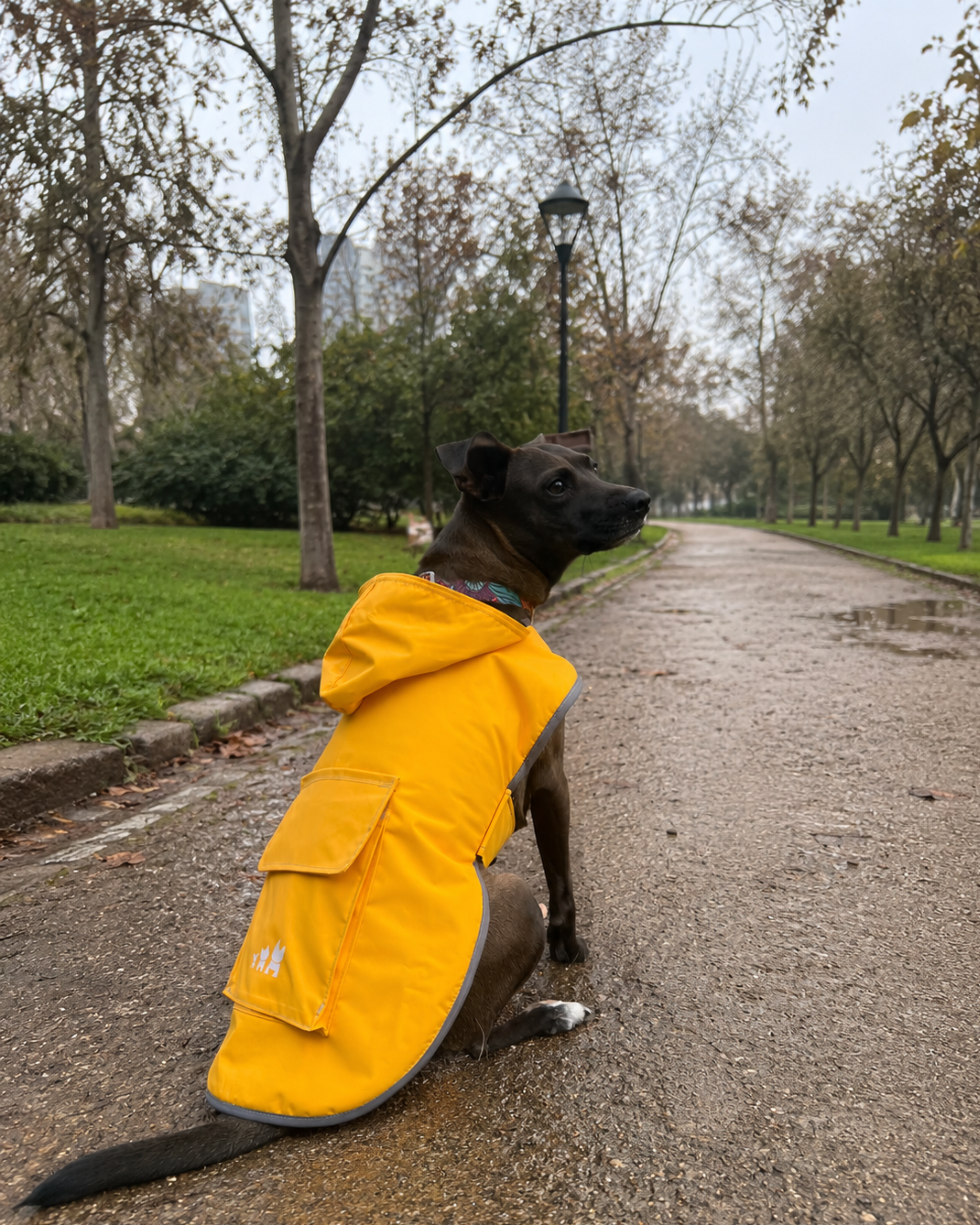Impermeable Aguacero para perros — BM for Pets